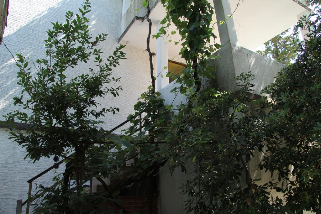 Novalja Guesthouse Economy Rooms ภายนอก รูปภาพ